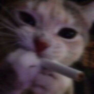 мяу’s Steam avatar