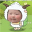 河南的小井盖