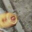 8equalequalequalequalequalD