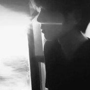 人生若只如初见