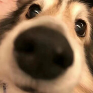 网恋对象有格调