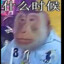 Xhin Pang Xie