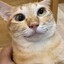 7648644b512959f67aefe15d886eaadd3578dcaf medium