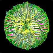 dong.2d - steam id 76561197965703544