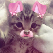 aLiCeALICWWealicealicealice