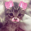 aLiCeALICWWealicealicealice