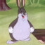 BIG CHUNGUS