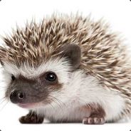 Freddie Hedgehog's avatar