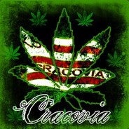 -ViPalacZ. THCracovia