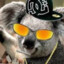 koALA soca FoFo