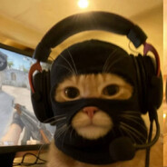 BinGo - steam id 76561199522333966