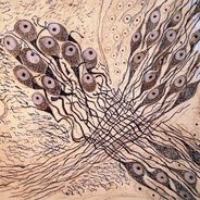 ☹☹☹☹☹☹☹☹☹☹