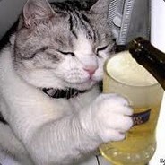 ♥Пьяный Котик♥