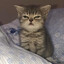 sleepy