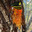 Steam avatar of GeneralTreesap