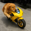 Motorradfahrer