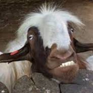 keCSke hellcase.com Society.gg