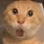Avatar of Hurry Up Tomorrow