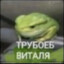 трубоеб виталя