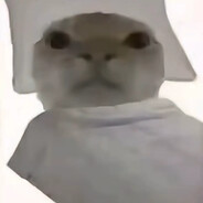 赛伊德（RX萌新）