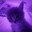 maly_MeTer