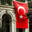 reis66