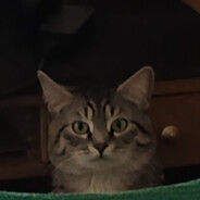 A1zeK - steam id 76561198153547190
