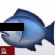 鱼某e