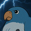 Parakeet Zappy