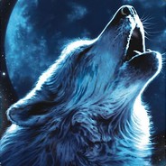 LoneWolf - steam id 76561197965493391