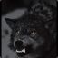 The black wolf