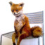 foxgamer2009