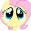 Fluttershy