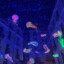 Blue_Rohanne
