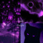 tollkitty