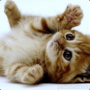 Little-Joke - steam id 76561197971756208