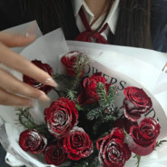 小小一只小趴菜