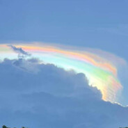 秀秀！我滴秀秀！