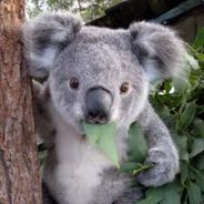 ●•°ВКедах°•●