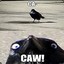 CAW