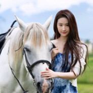 王牌飞行员斯内克