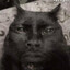 Henry Mogtard