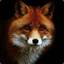 SadFox
