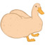 thiccQuangduck