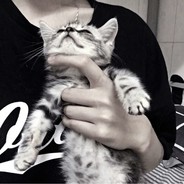 我是你爸爸真伟大