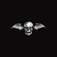 a7x enjoyer