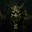 oXXXin_11