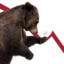 THE Bear Market