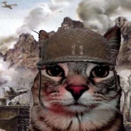El MIAOU