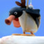 send_noots